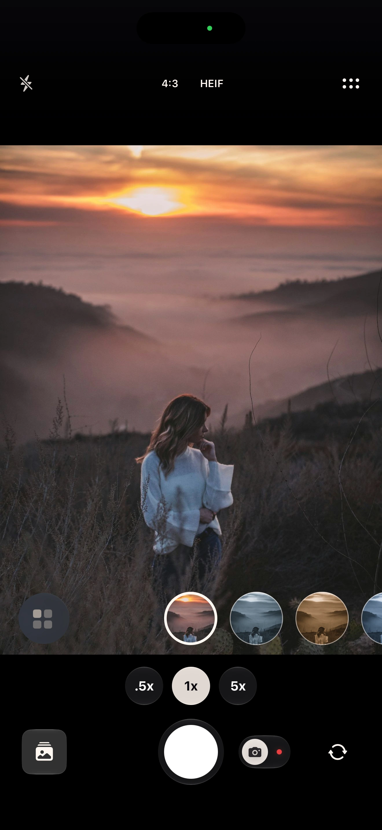 Rayista on iPhone showing a live look applied in the camera viewfinder