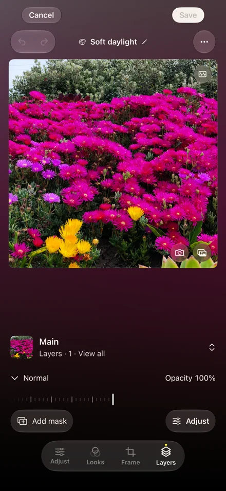 Studio's Layers tab with a flower preview, Normal blending, opacity, and Add mask controls